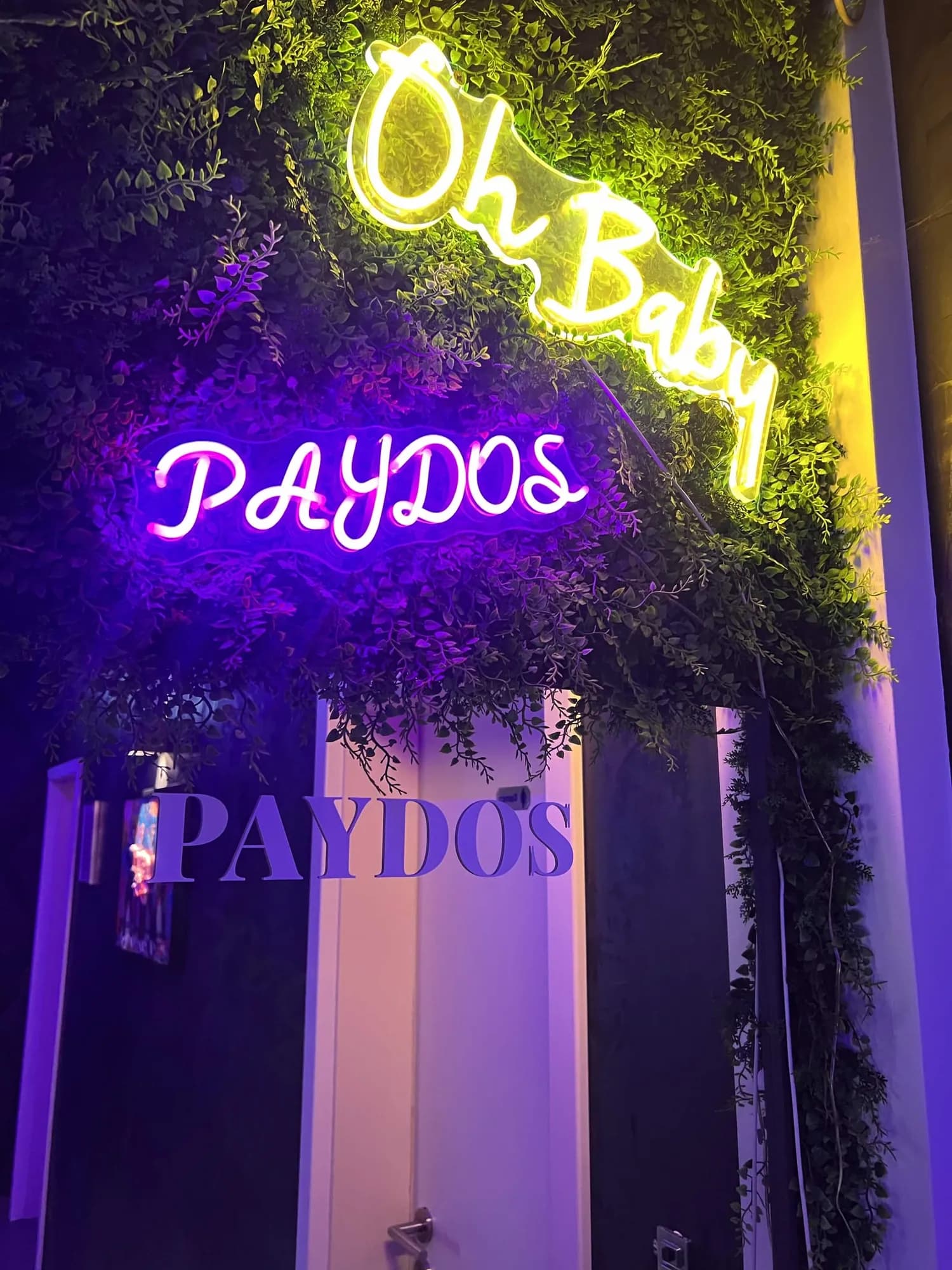 Paydos Neonschriftzug auf begrünter Wand